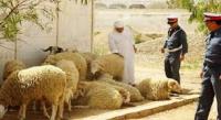 أرشيف