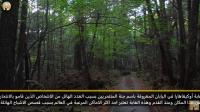 الغابات الاكثر رعبا على كوكبنا
