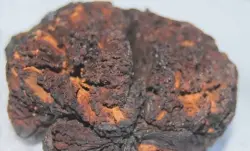 اكتشاف دماغ بشري عمره 4000 عام يذهل العلماء