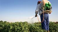 خطير...مبيدات فلاحية محظورة تستعمل في المغرب تسبب السرطان والزهايمر والباركينسون