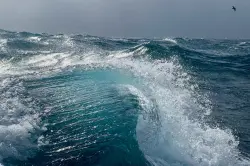 من الأرشيف