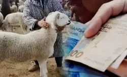 القضاء يُدين "شناقًا" بسبب المضاربة في أضاحي العيد