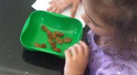 هل الزبيب ضار بالأطفال الصغار؟