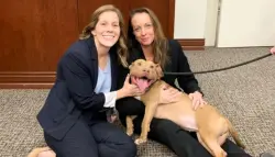 عقوبة قياسية.. أمريكي يُسجن 457 عامًا لإساءة معاملة الكلاب