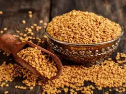 الحلبـة وفوائدها الكبيرة