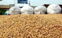 تحديد السعر المرجعي الخاص بالقمح الطري في 280 درهما للقنطار