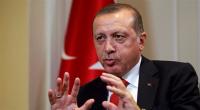 أردوغان: الضربة الأمريكية غير كافية لحماية الشعب السوري من كيماوي النظام