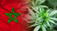 المغرب يُصوّت على قرار تاريخي مرتبط ب"الحشيش"