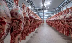 خطوة لضبط الأسواق وتأمين الأسعار.. المغرب يواصل إعفاء واردات اللحوم الحمراء من الرسوم الجمركية