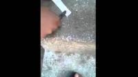 شباب يجدون سحرا لف بطريقة غريبة في منزل