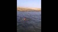 شاب مغربي يلقي نفسه في نهر وهو مقيد اليدين والرجلين