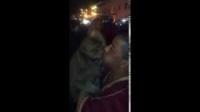 مضحك...مروض لقرده بجامع الفنا : "أرا شي بوسا أرا "