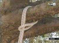 ظاهرة الإنتحار في المغرب 