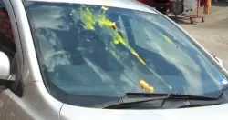 النيابة العامة تحيل "أولاد الفشوش" على سجن عكاشة بتهمة الرشق بالحجارة والبيض