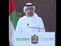 وزير الخارجية الإماراتي يعزي الروس بالطائرة الروسية التي سقطت بحلب السورية