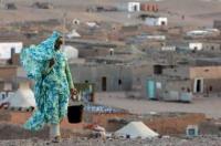 مسؤول بلجيكي يفضح تلاعبات البوليساريو بالمساعدات الغذائية بالحجة والدليل بقلب البرلمان الأوروبي