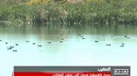 النفايات الصلبة تخلق مشكلا بيئيا بمرجة القنيطرة