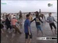 حوت ضخم بشواطئ اكادير