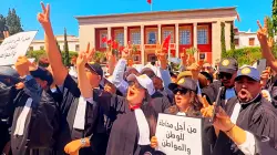الإبراهيمي تثير الجدل عقب مصادقة البرلمان على مشروع قانون المحاماة: "ما سُمي بالنضال لم يحقق أهدافه"