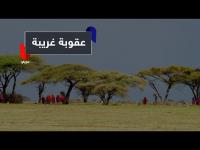 غريب.. شاب أهان والدته وهكذا عاقبته نساء القرية