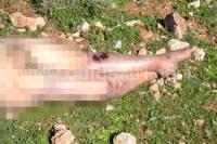 مراكش : جثة سيدة عارية تستنفر الأجهزة الأمني