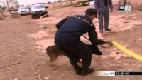 درك الفقيه بن صالح بمعية المواطنين يفكك عصابات الفراقشية