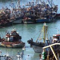 مهنيون مغاربة وإسبان يدعون بطنجة إلى تجديد اتفاقية الصيد البحري الموقعة بين المغرب والاتحاد الأوروبي