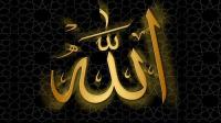 هل تعلم ماذا يحدث لجسم الإنسان عندما يفكر فى الله ؟!  !