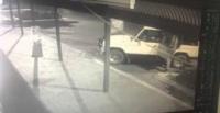 بالفيديو.. رجل يتخلص من 18 قطة صغيرة بالطريق