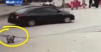 بالفيديو .. لحظة دهس طفلة أثناء قضائها حاجتها على الطريق