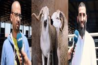 قبيل أسبوع من العيد .. " أخبارنا " ترصد جديد " سوق الأضاحي " و القضية شاعلة (فيديو )