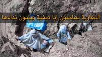 المغاربة يفاجئون إبا صفية ويلبون نداءها