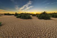 صورة تعبيرية من الأرشيف