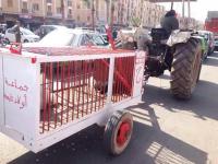 صيد الكاميرا : صورة من " أولاد تايمة " تشعل نار السخرية بين رواد الفيسبوك