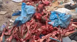 في ظل "اللهطة" على اللحوم.. اكتشاف رؤوس حمير وبغال بمطرح نفايات في مولاي رشيد بالبيضاء!