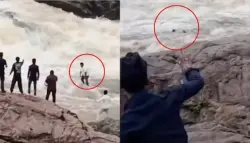 فيديو.. غرق يوتيوبر شاب في شلال بالهند أثناء تصوير محتوى لقناته