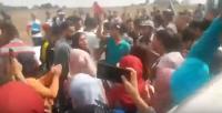 بالفيديو:طلبة جامعيون ينتفضون في وجه السلطات والمسؤولين وهذه الأسباب