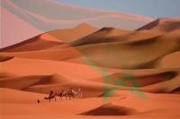 تحليل و إستشراف لقضيتنا الوطنية، المواجهة بدأت!