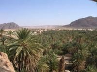 الحرس الجزائري يحتجز سبعة مغاربة على الحدود مع فجيج