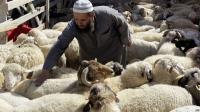 هذه هي حيلة مزوري الأموال خلال موسم عيد الأضحى