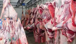 "ما عيدنا ما رخاص اللحم ما حمينا قطيع".. هاشتاغ يجتاح منصات التواصل قبل العيد