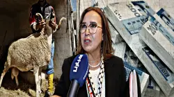 اعتبرته "سرقة موصوفة".. "التامني" تطالب بالكشف عن مصير 1300 مليار كانت موجهة لدعم أضاحي العيد