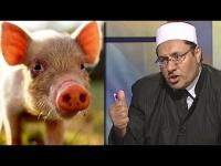 الشيخ المصري الذي صدم الجميع : أكل الخنزير حلال ولا يوجد صيام في رمضان !!