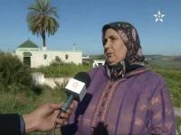 الخنزير يهدد ساكنة الولجة 