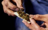 ألمانيا تجيز استخدام " الماريجوانا " في هذه الحالات