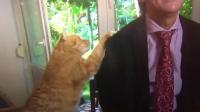 بالفيديو.. قط يخطف الأنظار من عالم سياسي خلال مقابلة تليفزيونية