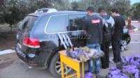 بالفيديو.. بعد مطاردة هوليوودية ,القبض على مشرملين مسلحين