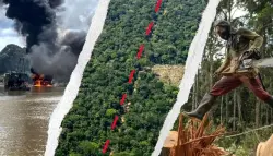 الأمازون الكولومبي يتحول إلى ساحة للجريمة المنظمة: الذهب والكوكايين واللحوم على حساب الغابات