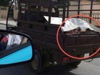 كاميرا مواطن ترصد عملية نقل سري للحوم مشبوهة موجهة للأسواق في أولى أيام رمضان