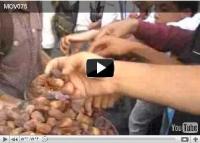 حركة 20 فبراير توزع الحلوى